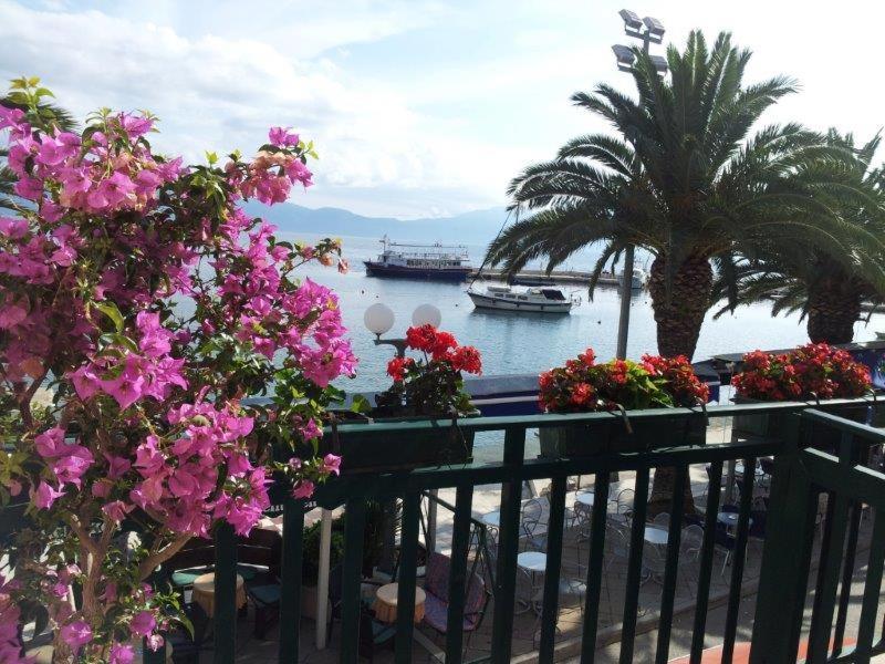 Apartman Iris Gradac  Kültér fotó